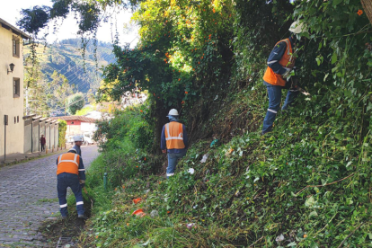 Personal de la Empresa de Movilidad y Obras Públicas trabajan en la zona.
