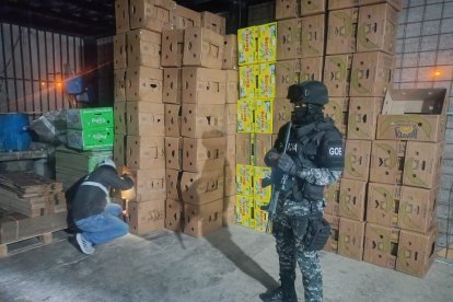 Las sustancias sujetas a fiscalización estaban ocultas en cajas de banano.