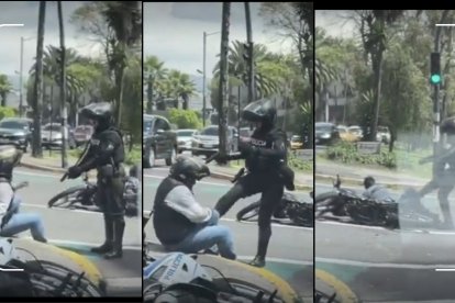 El hecho se volvió viral en redes sociales. En las imágenes se observa cómo actúan para someter a los individuos.