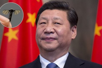 El propósito de este microvehículo aéreo no tripulado es realizar misiones de inteligencia militar de forma discreta