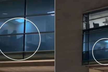 Las dos personas fueron captadas en pleno acto sexual, en Chile.