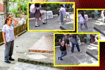 Una niña fue atacada por un perro. ¿Qué se sabe del caso?