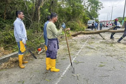El tránsito fue interrumpido brevemente por la caída de un árbol tras el movimiento telúrico.