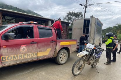 La vivienda de Juan Julio Jiménez Soto fue consumida por completo. Su hijo, Juan Pedro, fue testigo de la tragedia sin poder hacer nada para salvarlo.