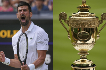 El GOAT Serbio del tenis probablemente  cuelgue su raqueta definitivamente