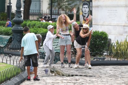 El parque Seminario es uno de los sitios con más demanda de turistas.