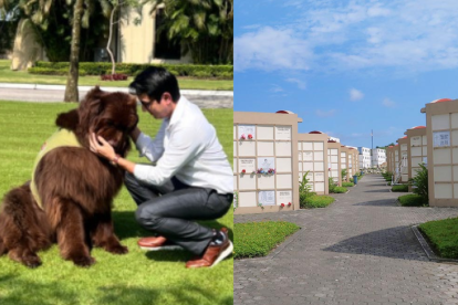 Un perro de raza Terranova es el encargado de animarles el día a personas que visitan a familiares que ya no están con ellos