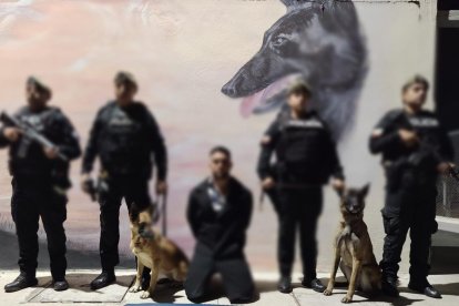 El ciudadano cubano aprehendido gracias a la labor de los canes antidrogas.