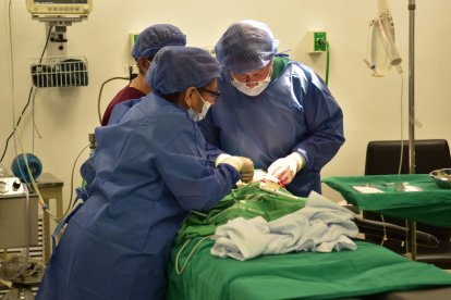 Imagen del equipo médico del Municipio de Guayaquil interviniendo a uno de los menores beneficiarios del programa de cirugías gratuitas por labio leporino y paladar hendido.