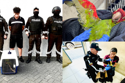 Un hombre fue detenido por comercialización ilegal de fauna silvestre.