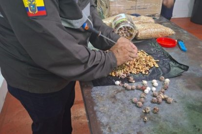 Este era el método de ocultamiento utilizado por los narcotraficantes.