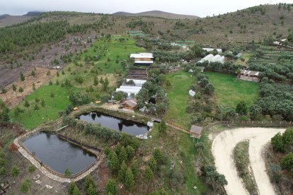 Infraestructura auxiliar en un campo abierto destinada a actividades de minería legal, bajo regulación ambiental en zonas sensibles.