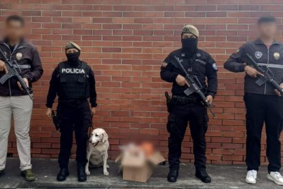 La can Ruth encontró un cargamento de 11 kilogramos de droga escondidos en alimentos.