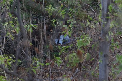 Dos jóvenes y una chica estaban escondidos en el Bosque Palo Santo, en el norte de Guayaquil.