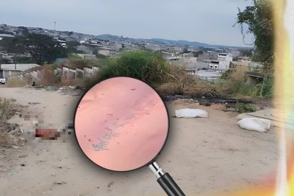 Los restos humanos fueron encontrados en este sector del noroeste de Guayaquil.