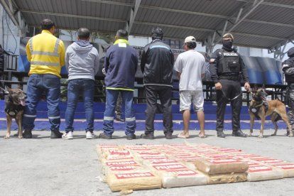 La Policía detuvo a cinco sujetos tras la incautación.