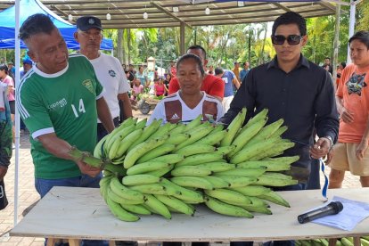 en el centenario de Aguarico, la feria productiva se llevó las miradas con plátanos que pasaron el metro, yucas que parecían troncos y gallos tan altos que causaron asombro en los asistentes.