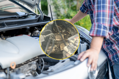 Dentro del capó de un vehículo, un hombre halló una boa de 2 metros.