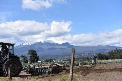 Las actividades agrícolas se realizan con normalidad en las comunidades.