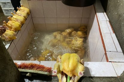 Las aves faenadas eran ubicadas en sitios donde no había una buena higiene.