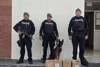El perro antidrogas Yzma detectó dos cajas con drogas en una empresa de encomiendas.