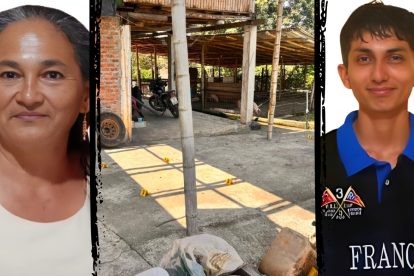 Una madre y su hijo por presunto robo de cerdos