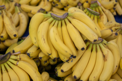 El banano ecuatoriano, junto con cacao, café, camarón y lácteos, será uno de los principales productos beneficiados con el acuerdo comercial entre Ecuador y Corea del Sur.