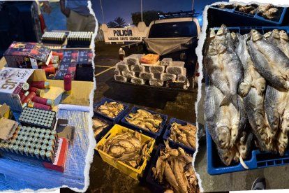 Las balas estaban camufladas en pescado. El hallazgo se hizo en Santo Domingo.