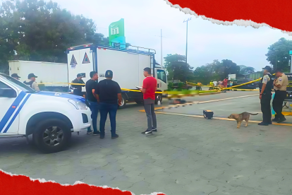 Desconocidos se llevaron toda la mercadería que transportaban en el camión.