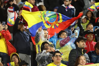Aficionados de Ecuador animan a su equipo ante Paraguay.