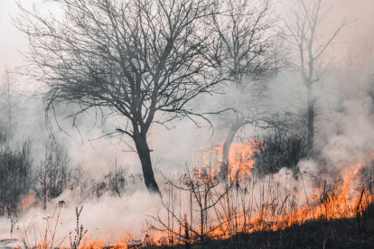 En 2024, Quito registró 340 incendios forestales que afectaron más de 2.200 hectáreas en zonas sensibles de la ciudad.