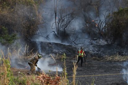 La maleza seca provocó que el incendio se avivara rápidamente.