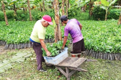 El incentivo busca mejorar la calidad de vida de los productores agropecuarios y fortalecer la economía rural.