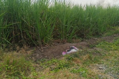 El menor de edad fue encontrado en partes, dentro de un saco de yute, en una zona agrícola.