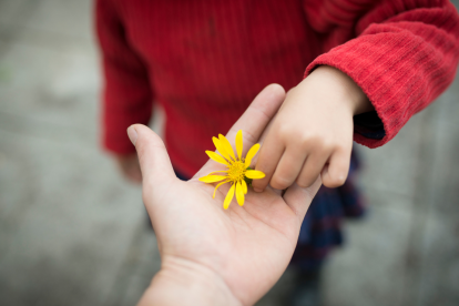 El 21 de septiembre es el día ideal para regalar flores amarillas.
