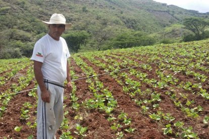 El apoyo económico de $1.000 será entregado una sola vez a quienes cumplan los requisitos.