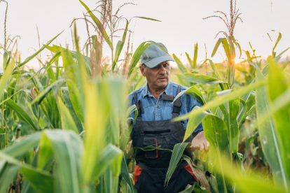 El Bono Raíces es una ayuda económica de USD 1.000 para productores rurales afectados por el alza del diésel.