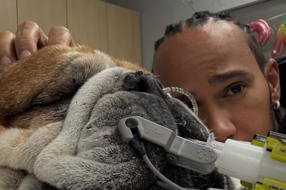 Lewis Hamilton está devastado por el fallecimiento de su perro Roscoe
