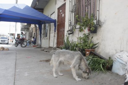 En este sector ocurrió el ataque, en Guayaquil.
