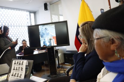 Los miembros de la Comisión de Garantías Constitucionales observaban un video de las protestas.