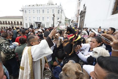 Los padres bendijeron a los animales afuera del convento de San Francisco, en el centro de Quito.