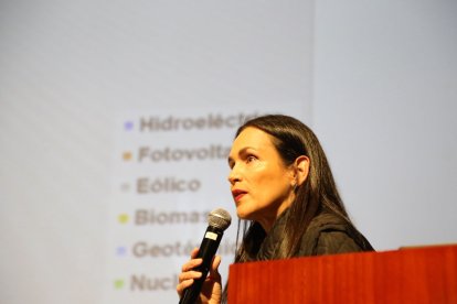 Inés Manzano, ministra de Ambiente, puso la denuncia por tentativa de asesinato.