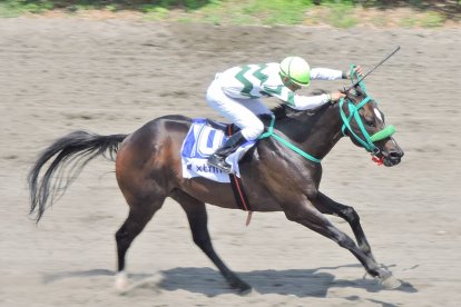Muchacho, con 55 kilos de peso y llevado por el jinete Jonathan Tejada aparece como primer gran favorito.