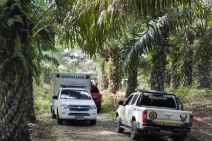 El incidente ocurrió en una comunidad rural de Mocache.