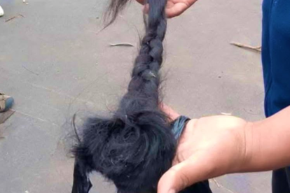 Comuneros de San Roque hallaron dos trenzas cerca del peaje de Cotacachi, en medio de las protestas del Paro Nacional 2025.