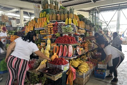 COLADA MORADA FOTOGRAFO:GERARDO MENOSCAL PERIODISTA: MARIO VALIENTE FECHA: 24/10/2025 AG-EXTERNOS