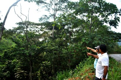 Este suelo orense se caracteriza por una gran cantidad de flores exóticas y reservas naturales con especies endémicas.