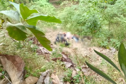 Los cuatro cuerpos estaban en una quebrada.