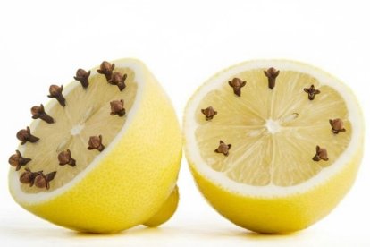 Limón y clavos de olor, el truco natural más efectivo contra las moscas.