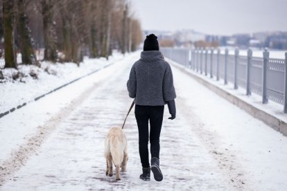 El clima será un factor clave para quienes celebran Thanksgiving y planean viajar.